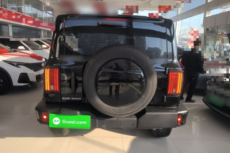 坦克300 2024款 2.0T 征服者车身外观6