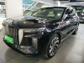 红旗E-HS9 2021款 510km 旗领版 四座