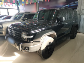 坦克300 2023款 越野版 2.0T 征服者