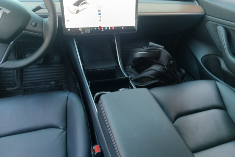 特斯拉 Model 3(进口) 2019款 标准续航后驱升级版(60度)局部细节18