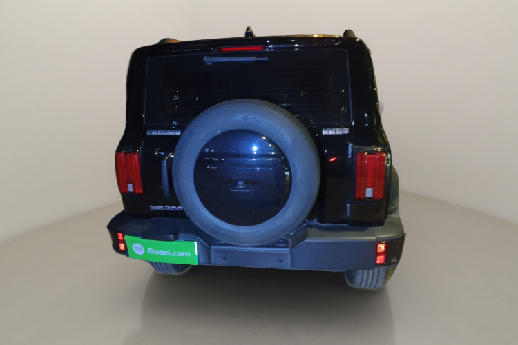 坦克300 2024款 2.0T 征服者车身外观6