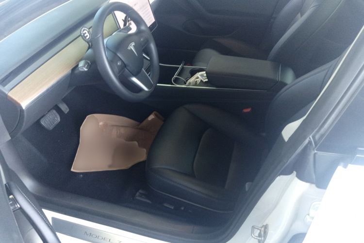 特斯拉 Model 3(进口) 2019款 长续航全轮驱动版局部细节19