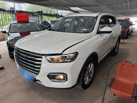 哈弗H6 2020款 1.5GDIT 自动铂金都市版