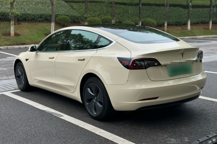 特斯拉 Model 3 2019款 标准续航后驱升级版车身外观6003