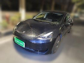 特斯拉 Model 3 2021款 改款 标准续航后驱升级版 3D1