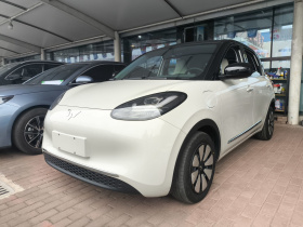 五菱汽车 五菱缤果 2024款 333km 灵犀互联款