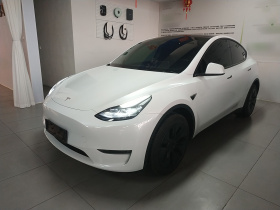 特斯拉 Model Y 2024款 长续航全轮驱动版