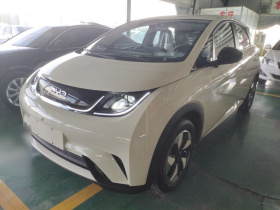 比亚迪 海豚 2025款 420km 自由版