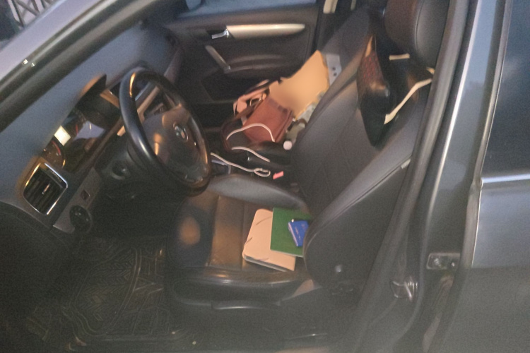 大众 朗逸 2014款 1.4TSI DSG蓝驱技术版局部细节19