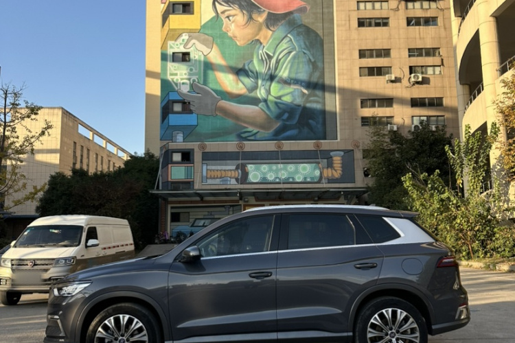 比亚迪 宋Pro新能源 2019款 EV 高功率高续航版旗舰型车身外观6001