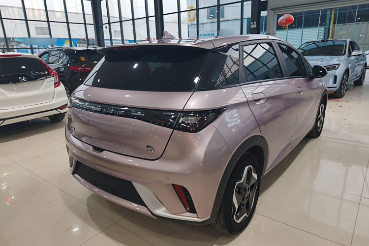 比亚迪 海豚 2021款 405km 时尚版车身外观7