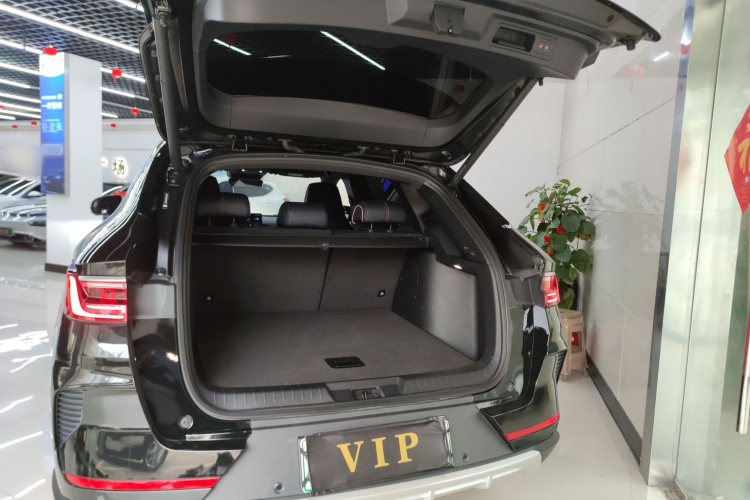 比亚迪 宋PLUS新能源 2021款 EV 旗舰型机舱底盘23