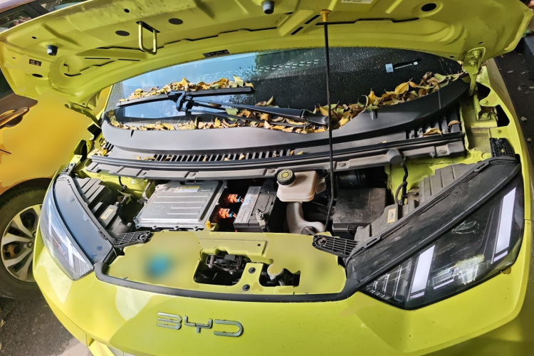 比亚迪 海鸥 2023款 飞翔版机舱底盘24