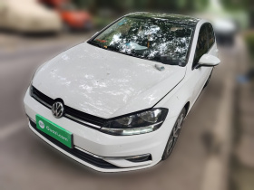 大众 高尔夫 2018款  230TSI 自动豪华型