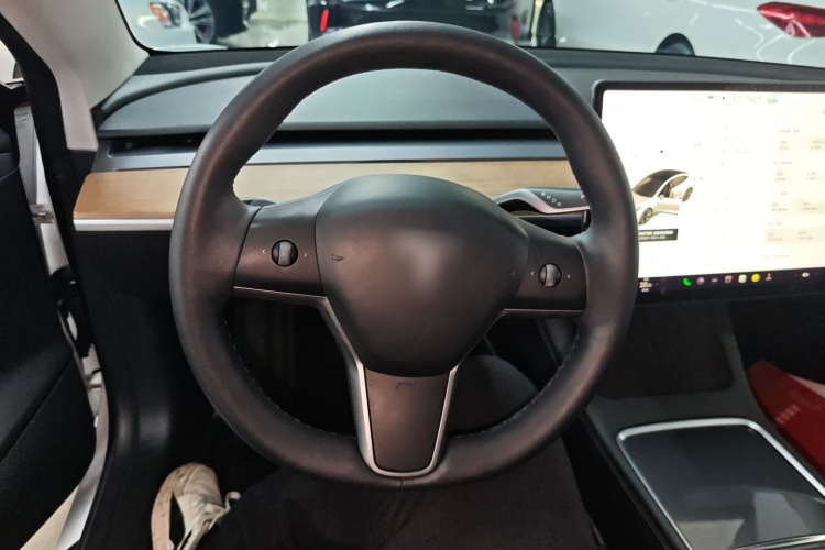 特斯拉 Model 3 2021款 改款 标准续航后驱升级版 3D1局部细节13