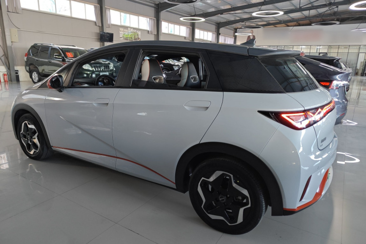 比亚迪 海豚 2021款 405km 时尚版车身外观4