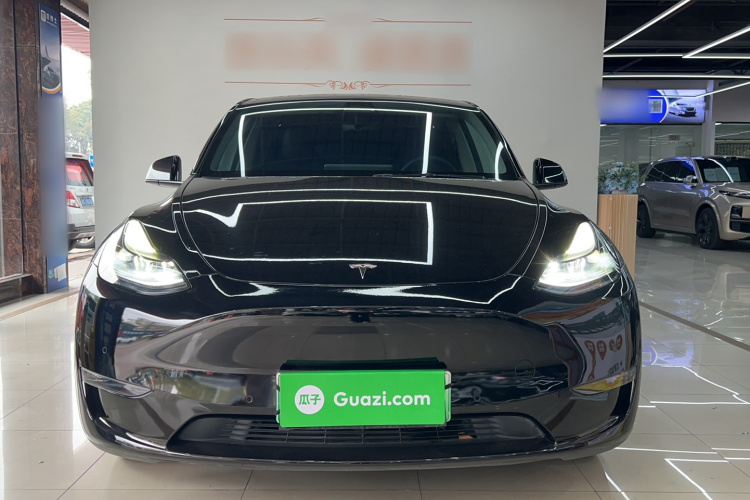 特斯拉 Model Y 2021款 标准续航后驱版车身外观6005
