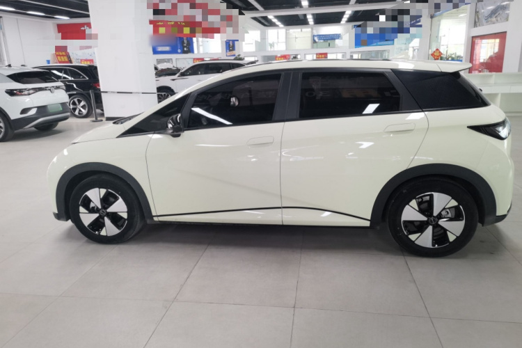 比亚迪 海豚 2023款 420km 自由版车身外观4