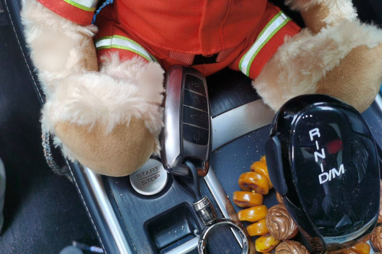 哈弗H6 2023款 国潮版 1.5T 自动冠军版中控内饰7001