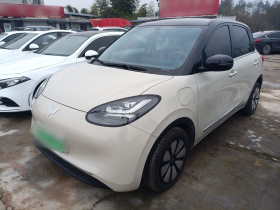 五菱汽车 五菱缤果 2025款 333km 灵犀互联款