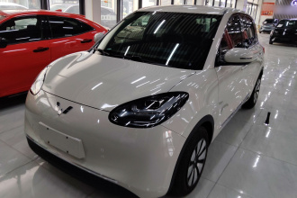 五菱汽车 五菱缤果 2023款 203km 舒享款