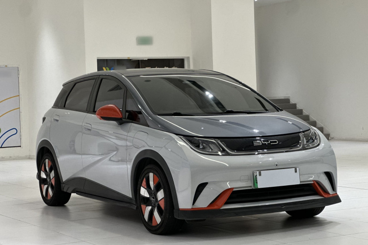 比亚迪 海豚 2021款 401km 骑士版车身外观6001