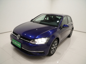 大众 高尔夫 2018款  230TSI 自动豪华型