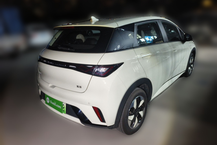 比亚迪 海豚 2025款 420km 自由版车身外观6005