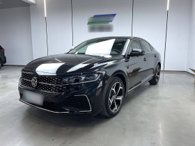 大众 帕萨特 2025款 出众款 380TSI 星空龙腾版