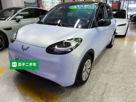 五菱汽车 五菱缤果 2024款 203km 轻享款