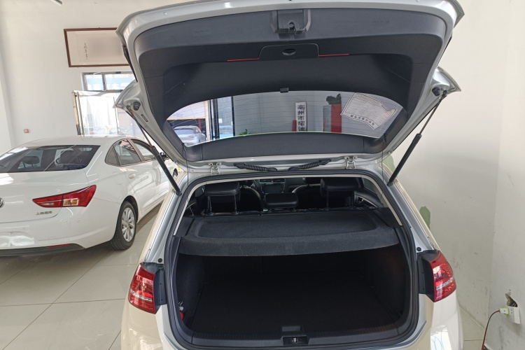 大众 高尔夫 2015款 1.4TSI 自动豪华型机舱底盘23