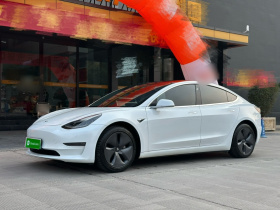 特斯拉 Model 3(进口) 2019款 长续航后驱版