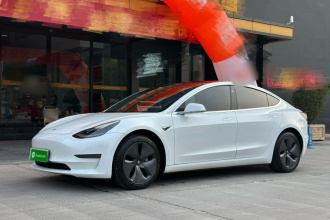 特斯拉 Model 3(进口) 2019款 长续航后驱版