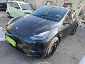 特斯拉 Model Y 2021款 标准续航后驱版