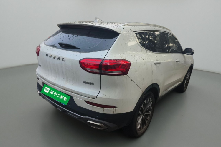 哈弗H6 2020款 1.5GDIT 自动铂金冠军版车身外观7