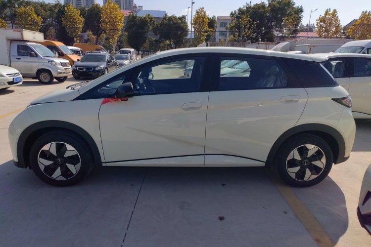 比亚迪 海豚 2025款 420km 自由版车身外观6003