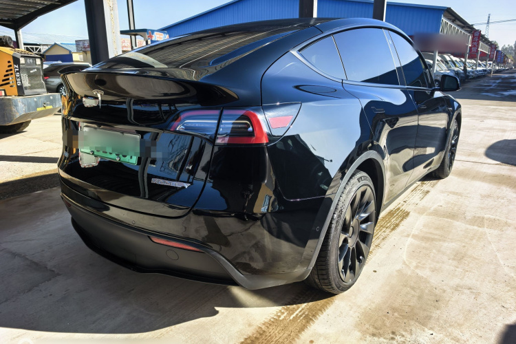 特斯拉 Model Y 2021款 标准续航后驱版车身外观6006