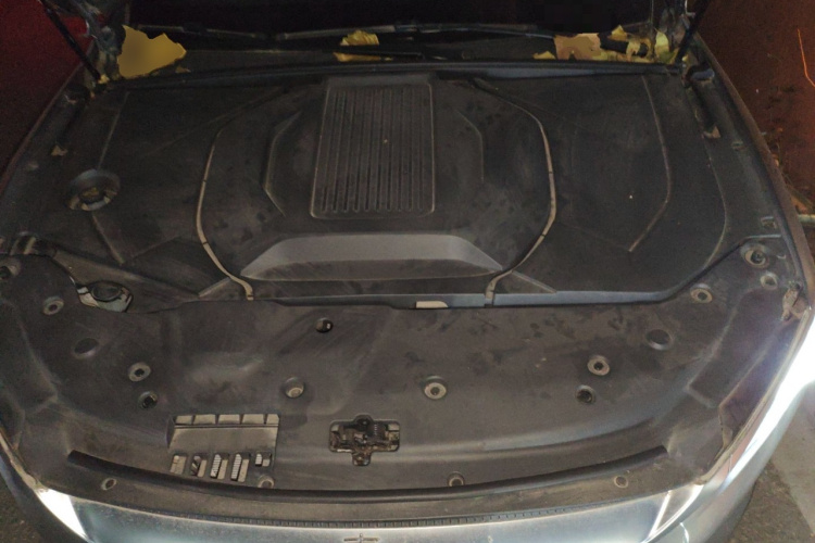 比亚迪 秦PLUS 2021款 EV 500KM 尊贵型局部细节24