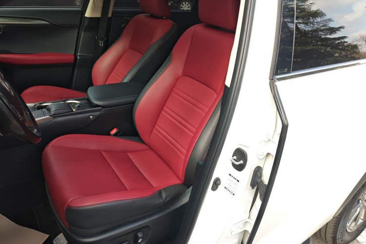 雷克萨斯NX 2020款 200 全驱 锋尚版 国VI中控内饰19