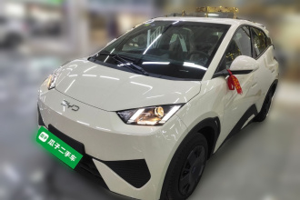 比亚迪 海鸥 2025款 305km 活力版