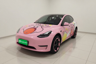 特斯拉 Model Y 2024款 后轮驱动版