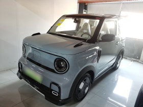 吉利银河 2025款 210km 熊猫卡丁