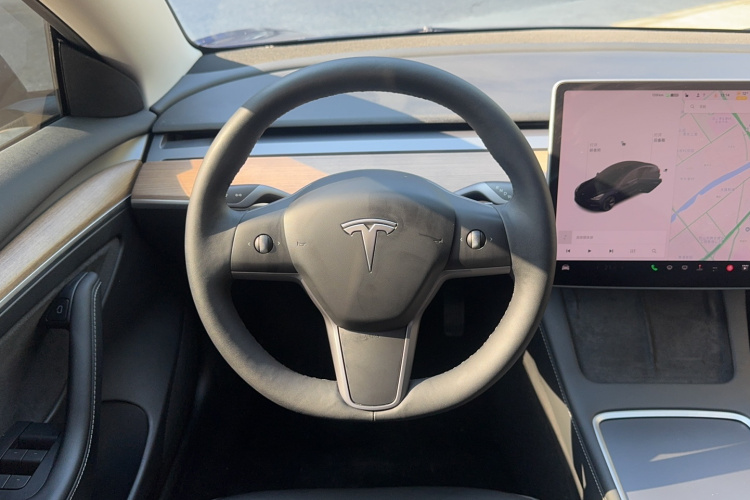 特斯拉 Model 3 2021款 标准续航后驱升级版 3D6局部细节13