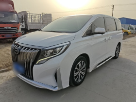 广汽传祺 传祺M8 2020款 大师版 390T 至尊版