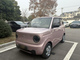 吉利银河 2023款 熊猫mini 200km 耐力熊