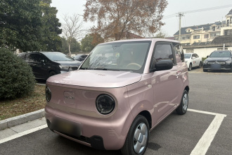 吉利银河 2023款 熊猫mini 200km 耐力熊