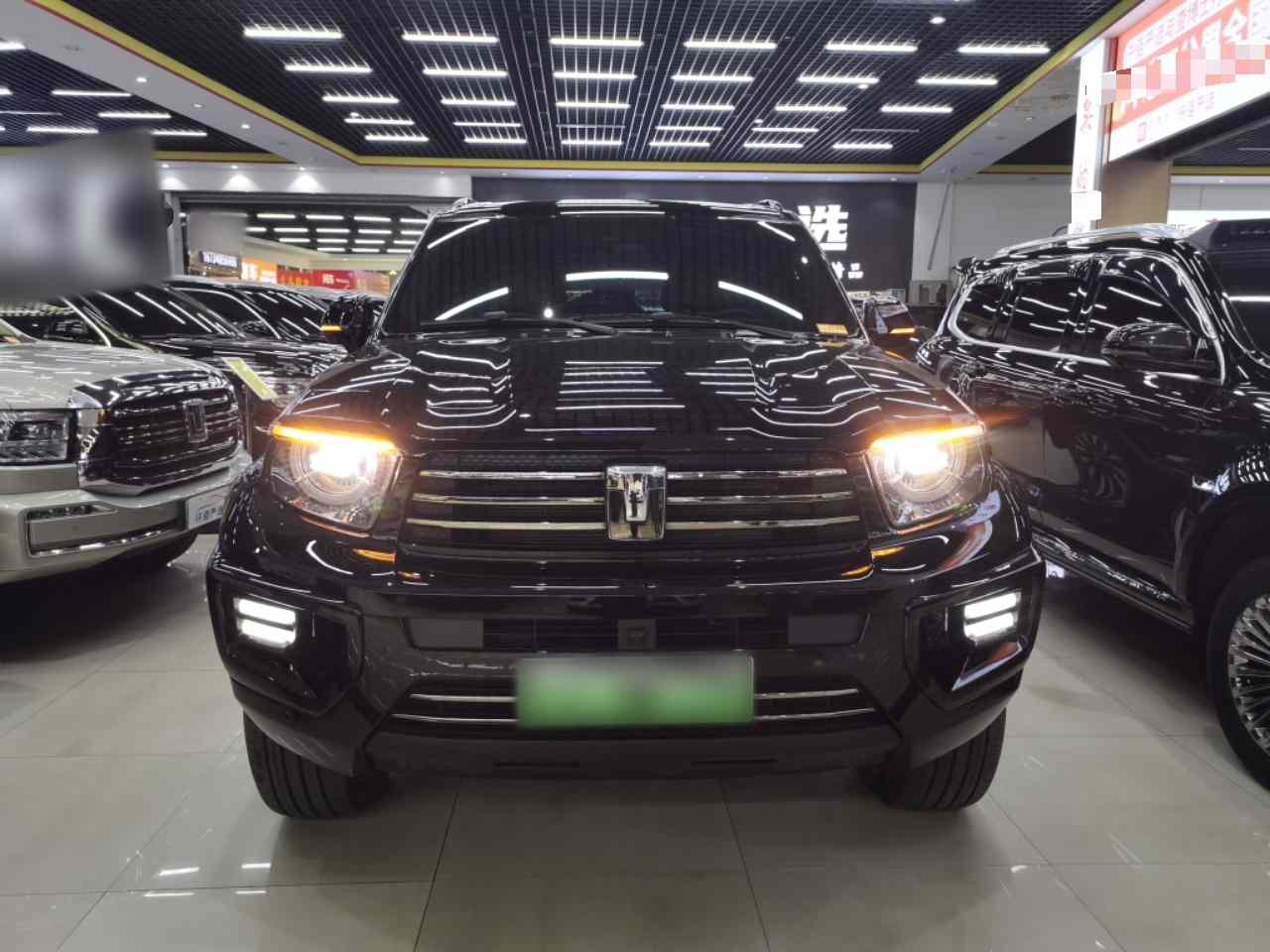 坦克700新能源 2024款 Hi4-T 极境版(1)