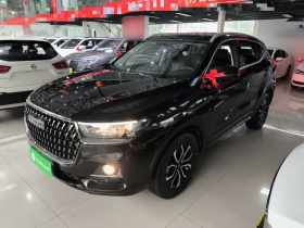 哈弗H6 2023款 国潮版 1.5T 自动都市版