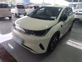 比亚迪 海豚 2025款 420km 时尚版