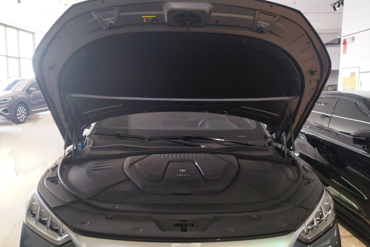 比亚迪 宋PLUS新能源 2021款 DM-i 100KM 四驱旗舰PLUS局部细节24